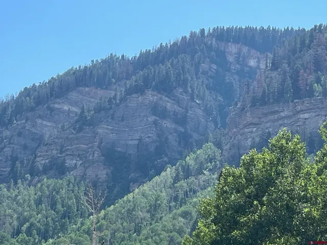 a view of a pathway with a wrought fence
