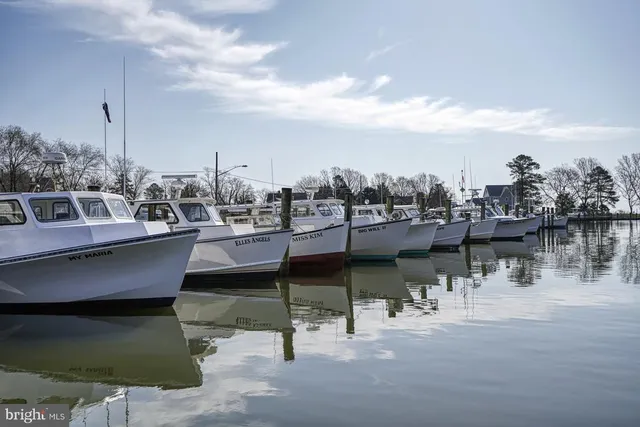 a view of a lake with boats and trees