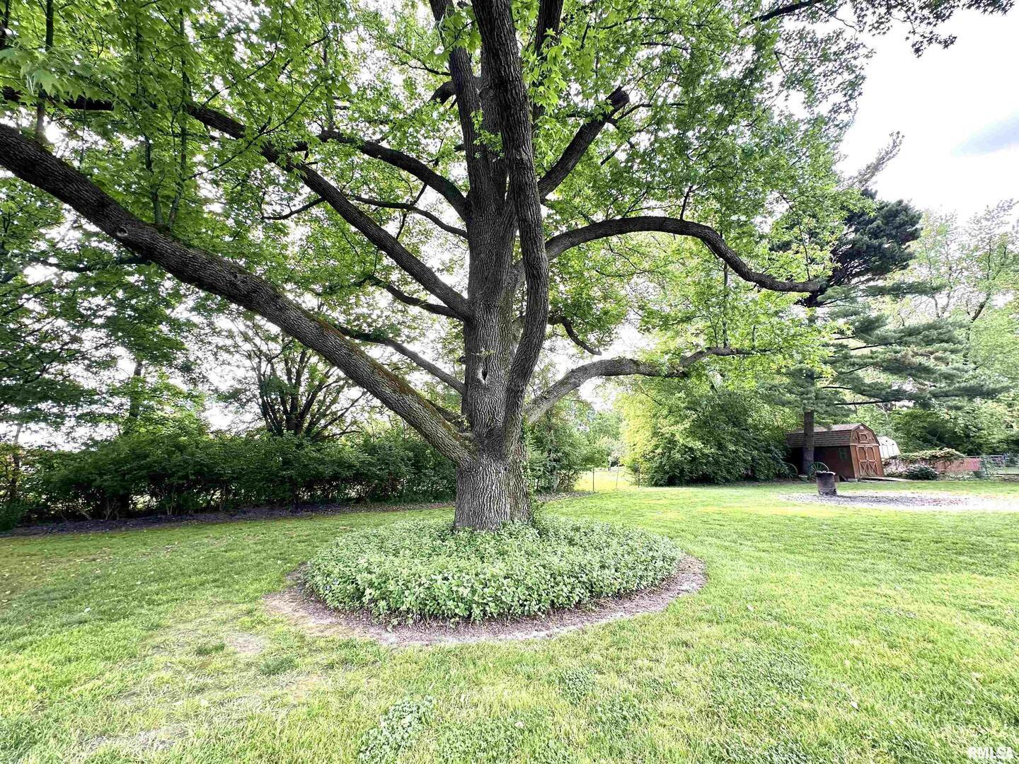 1 Estate Drive Centralia, IL 62801 - Photo 28 of 31