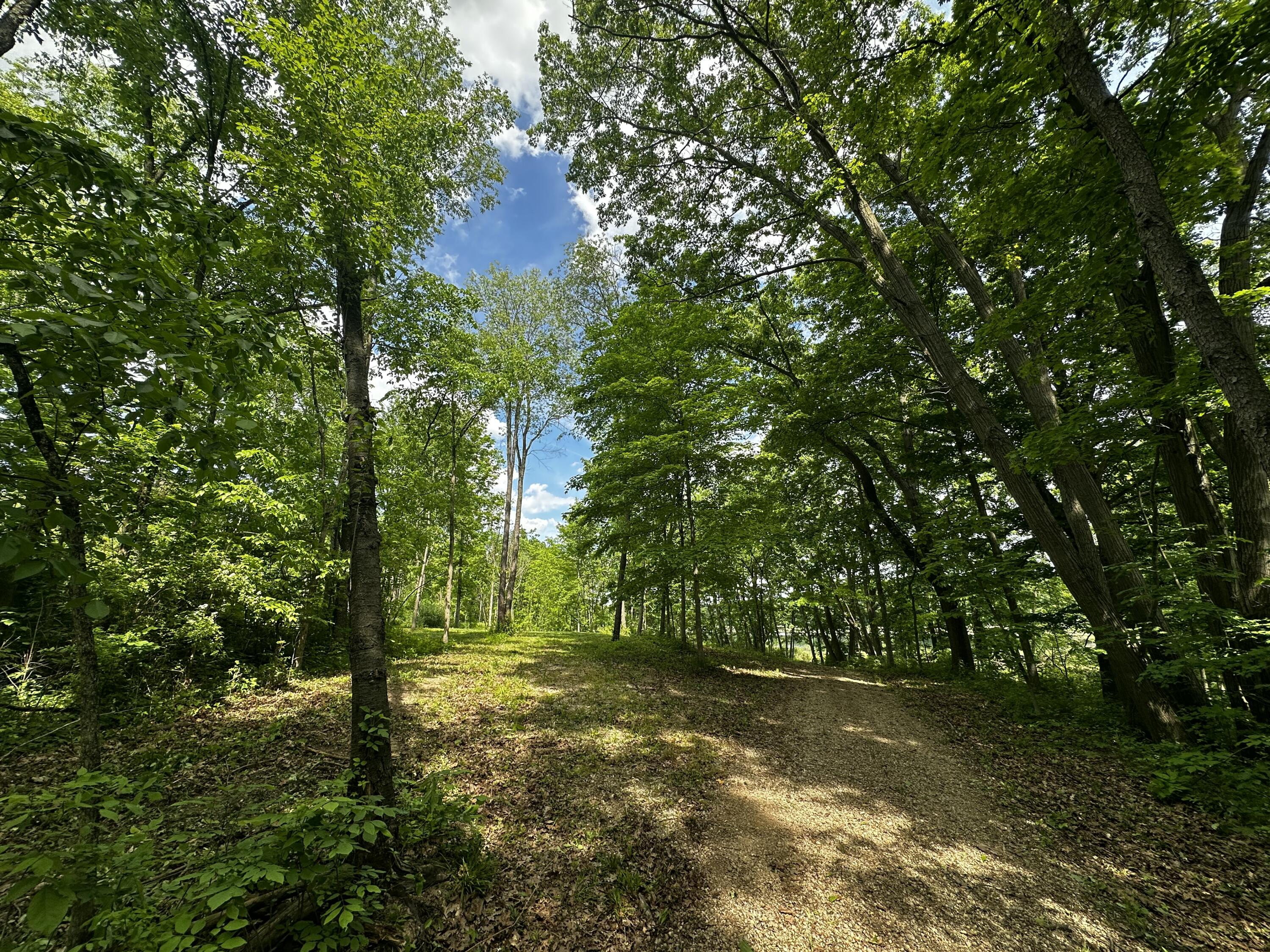 South Norris Road Delton, MI 49046 - Photo 3 of 13 IMG_0952