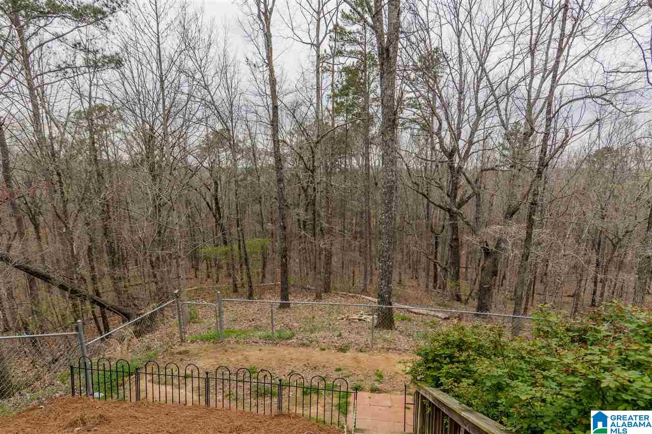7434 Dollar Road Trussville, AL 35173 - Photo 41 of 43