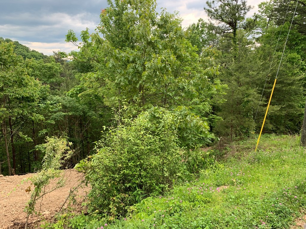 24 Engle Town Road Sevierville, TN 37863 - Photo 4 of 4