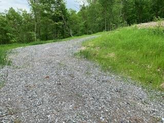 5610 Cottonport Road Decatur, TN 37322 - Photo 13 of 22 a view of a yard with a trees