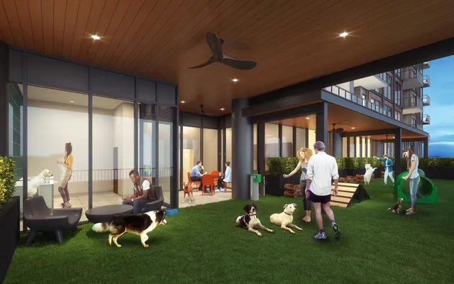 a view of a big room with wooden floor and windows