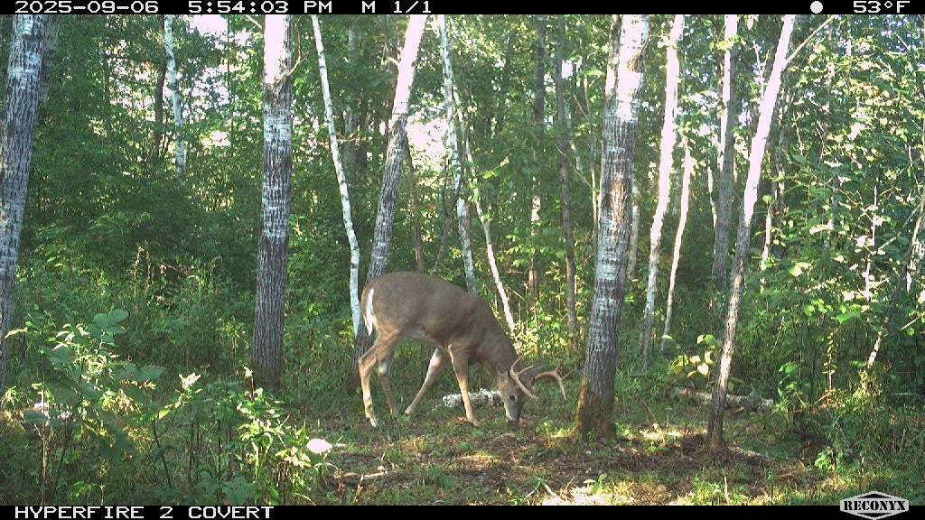 W11199 Edgewood Road Bruce, WI 54819 - Photo 31 of 40 Gallery Image 31