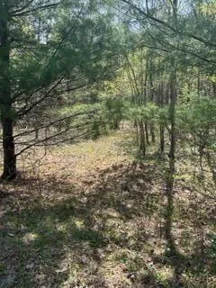 $115,000 | R1-37b O'Dell Road, New Sharon, ME 04955