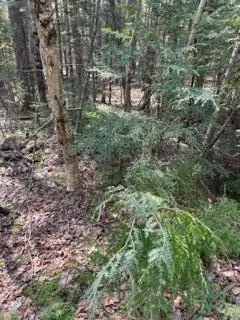 $115,000 | R1-37b O'Dell Road, New Sharon, ME 04955