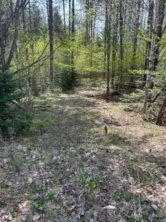 $115,000 | R1-37b O'Dell Road, New Sharon, ME 04955