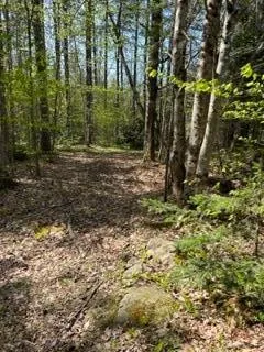 $105,000 | R1-37b O'Dell Road, New Sharon, ME 04955