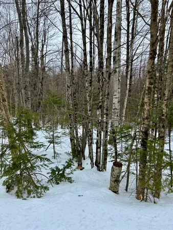 $105,000 | R1-37b O'Dell Road, New Sharon, ME 04955