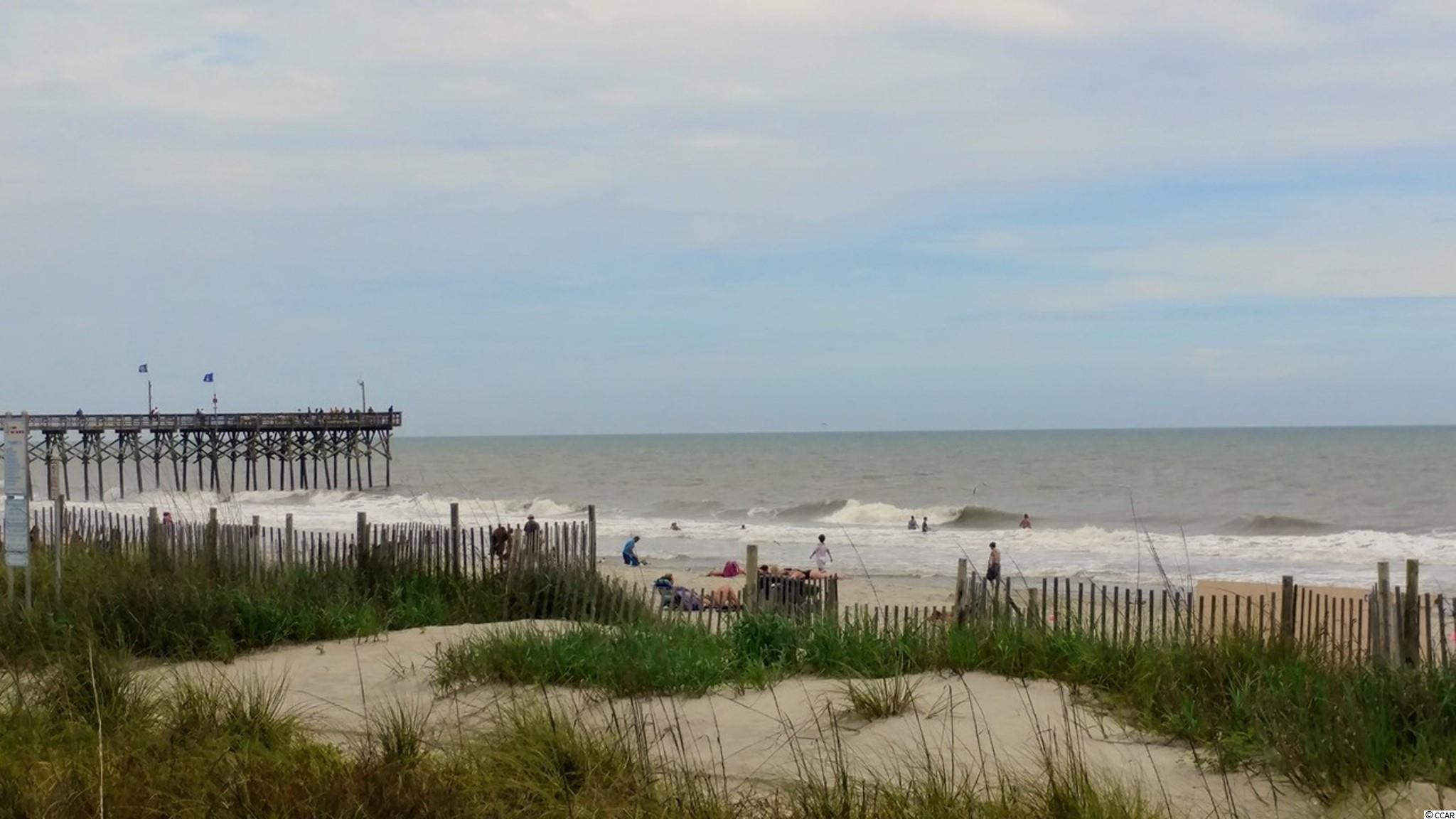 149 Black Bear Road Myrtle Beach, SC 29588 - Photo 33 of 34 Gallery Image 33