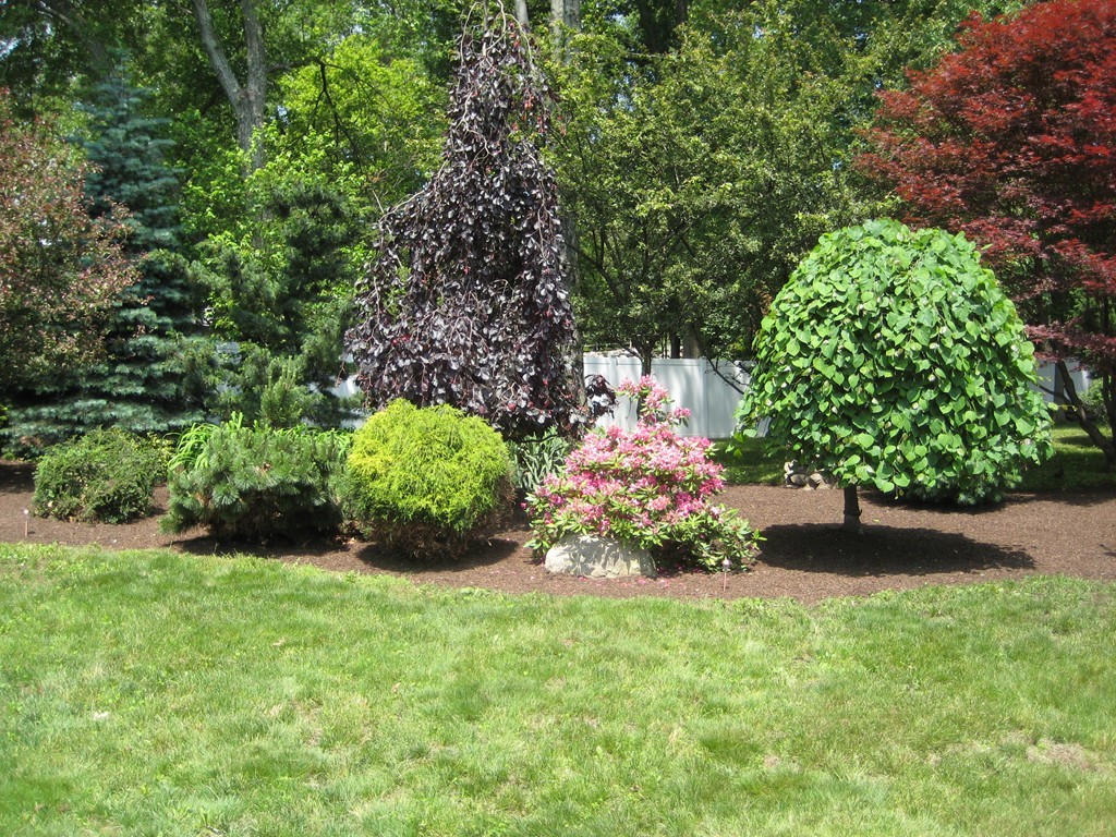 1 Fay Road Dedham, MA 02026 - Photo 29 of 30 Gallery Image 29