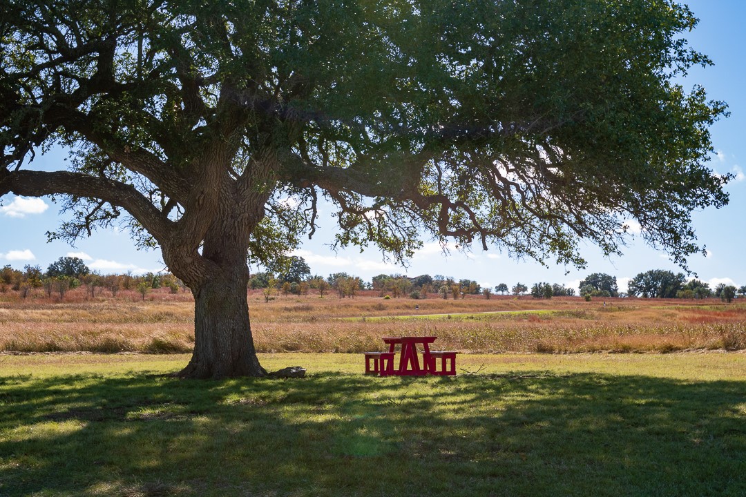 204 Via Daniela Florence, TX 76527 - Photo 3 of 8 a view of a lake with houses in the background