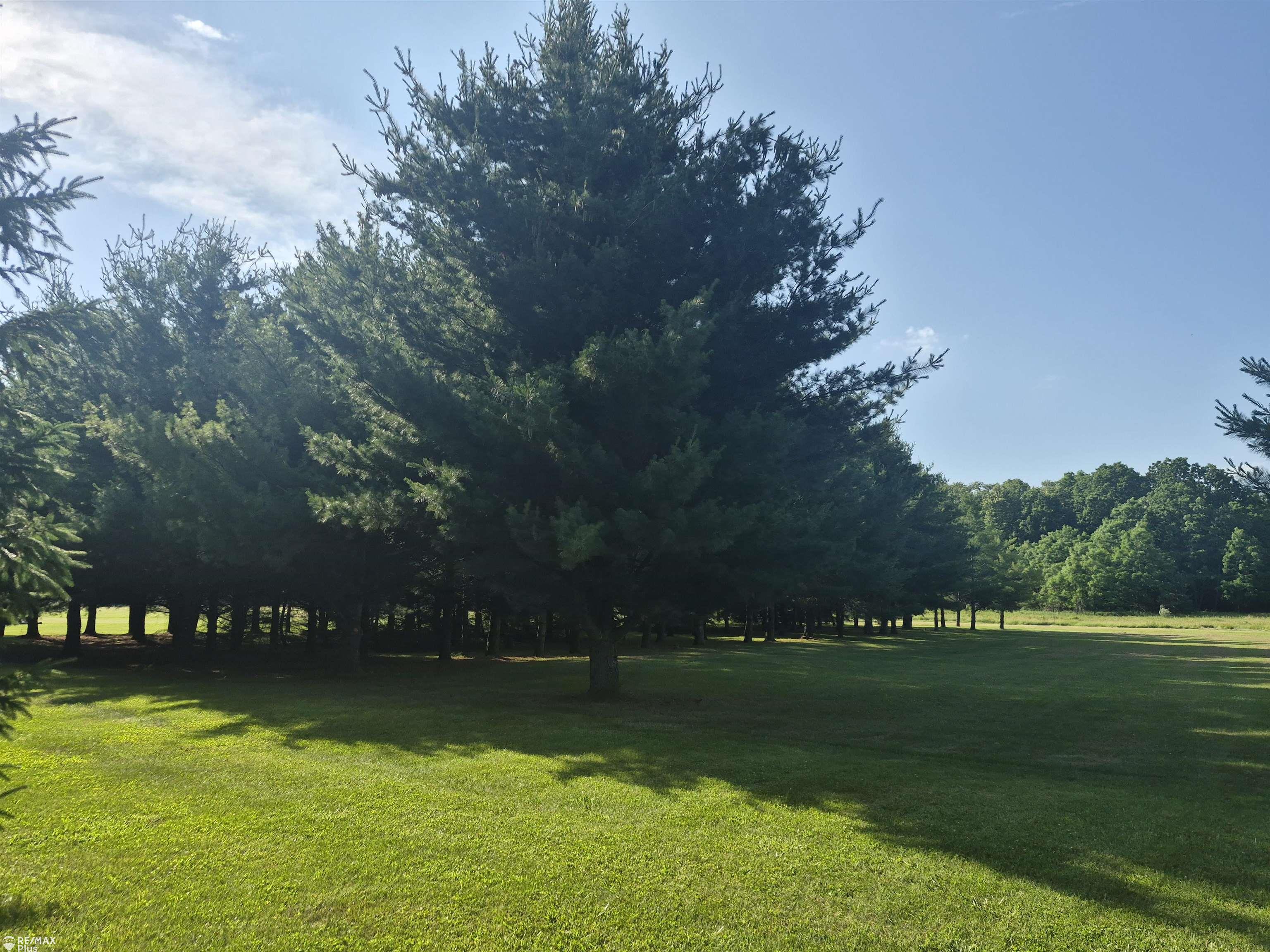 0 North Mill Road Pontiac, MI 48342 - Photo 4 of 12