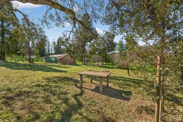 a garden view with a seating space