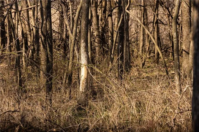 $210,000 | 41045 West 327th Street, Osawatomie, KS 66064