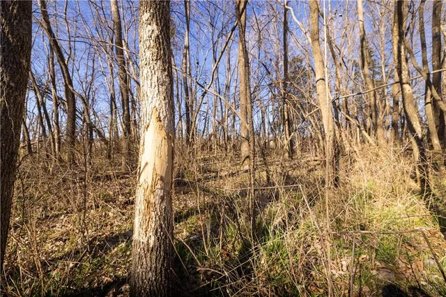 $210,000 | 41045 West 327th Street, Osawatomie, KS 66064