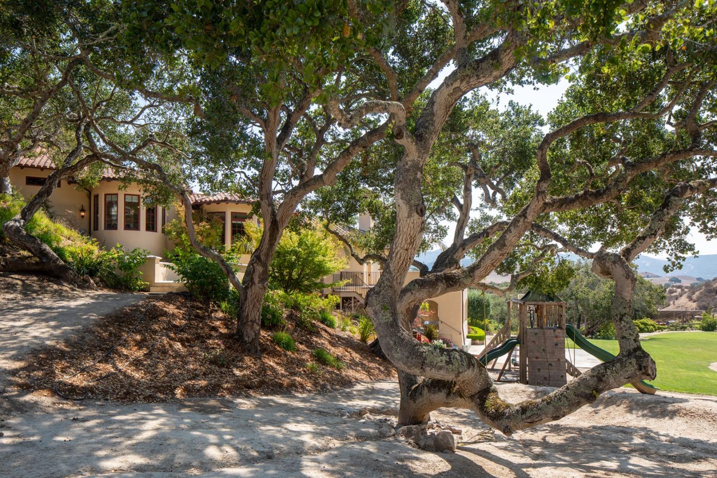 14501 Roland Canyon Road Salinas, CA 93908 - Photo 46 of 53 a view of a backyard with plants and trees