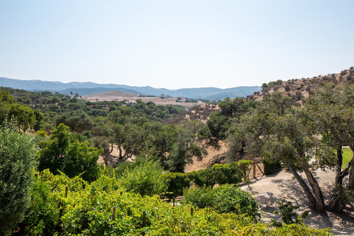 14501 Roland Canyon Road Salinas, CA 93908 - Photo 50 of 53 an aerial view of mountain with trees around