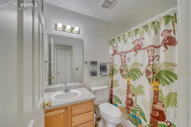 a bathroom with a sink a toilet a mirror a vanity and shower curtain