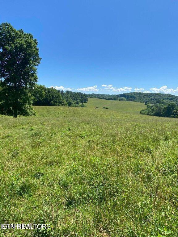 Lot 1 Chapman Road La Follette, TN 37766 - Photo 2 of 3 lots110