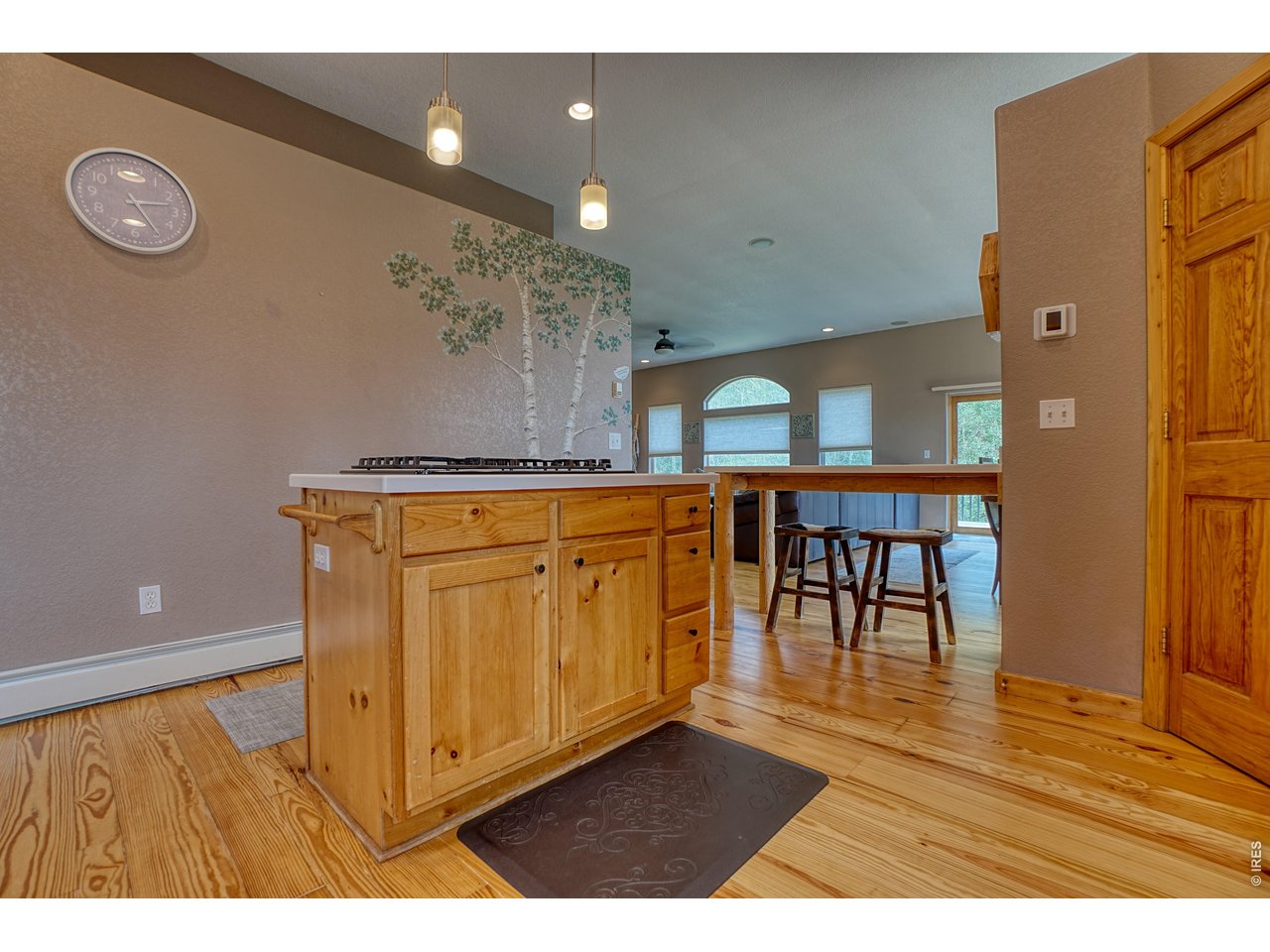 2353 Dory Hill Road Black Hawk, CO 80422 - Photo 5 of 50