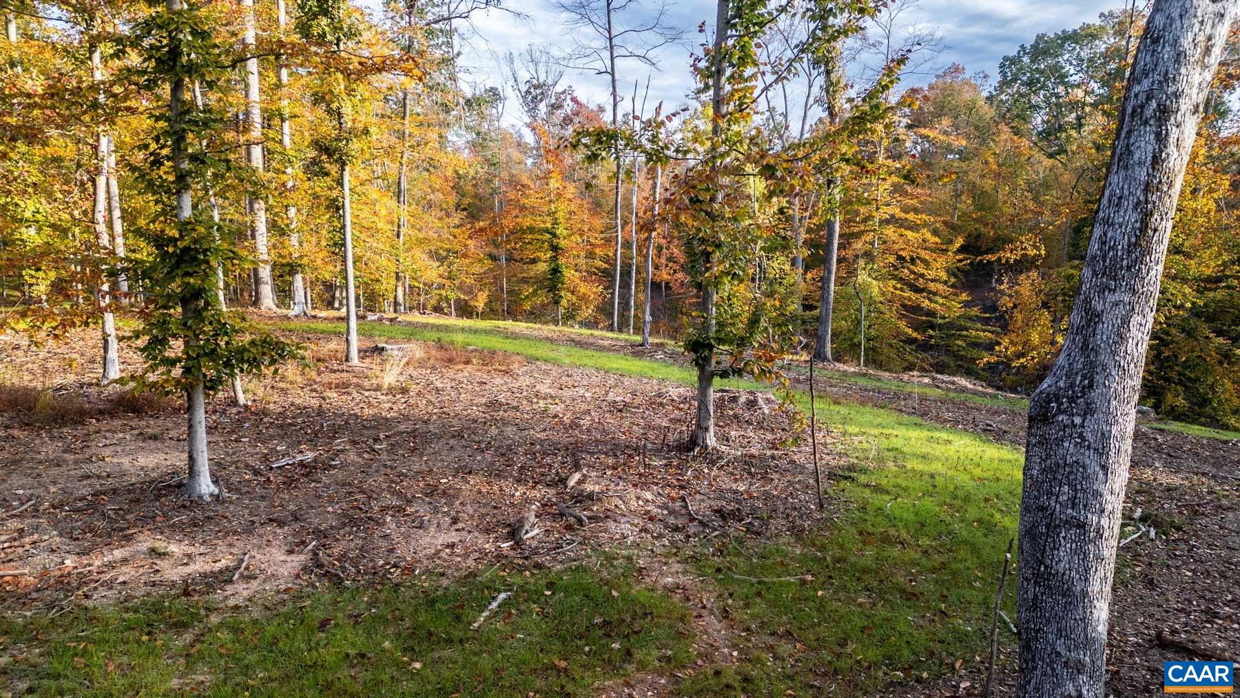 42 Shadwell Road Keswick, VA 22947 - Photo 5 of 15 Cleared and graded building site above the lake. Three elevated sites identified in the architectural study.