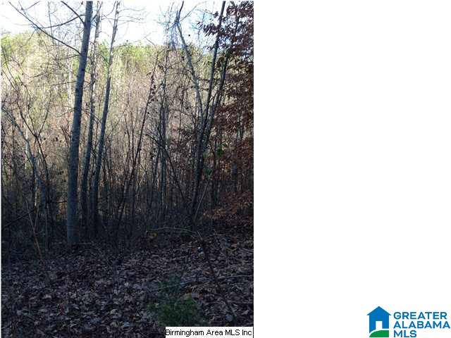 0 Henderson Lake Road, Unit 128 Munford, AL 36268 - Photo 3 of 31