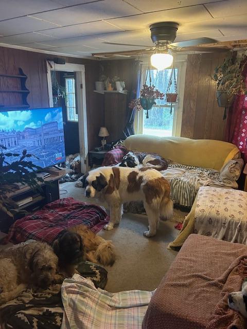 217 Dickvale Road Peru, ME 04290 - Photo 20 of 22 IMG_7048