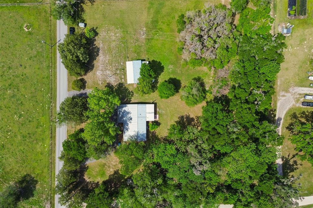 17114 Brittle Road Brooksville, FL 34601 - Photo 51 of 52
