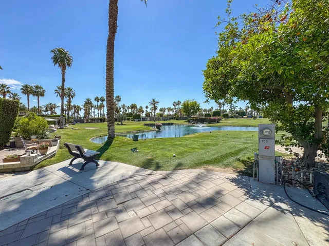 a view of a park with a bench and trees