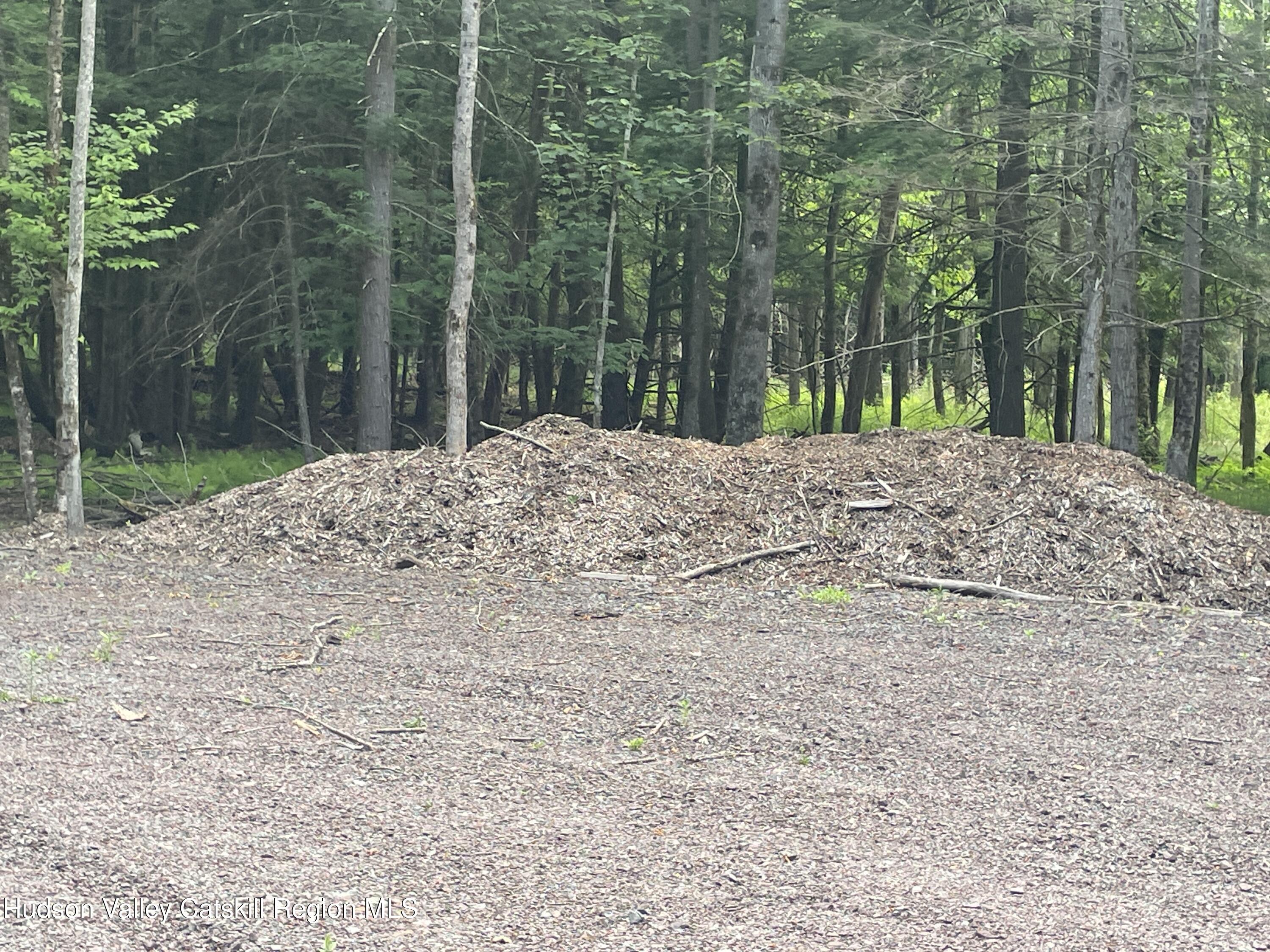 Tbd Boulder Brook Road Windham, NY 12496 - Photo 7 of 57 IMG_0611