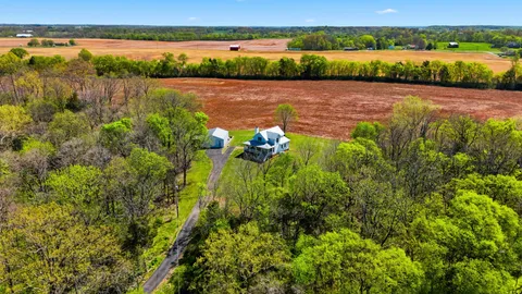 an aerial view of a yard with plants and large trees