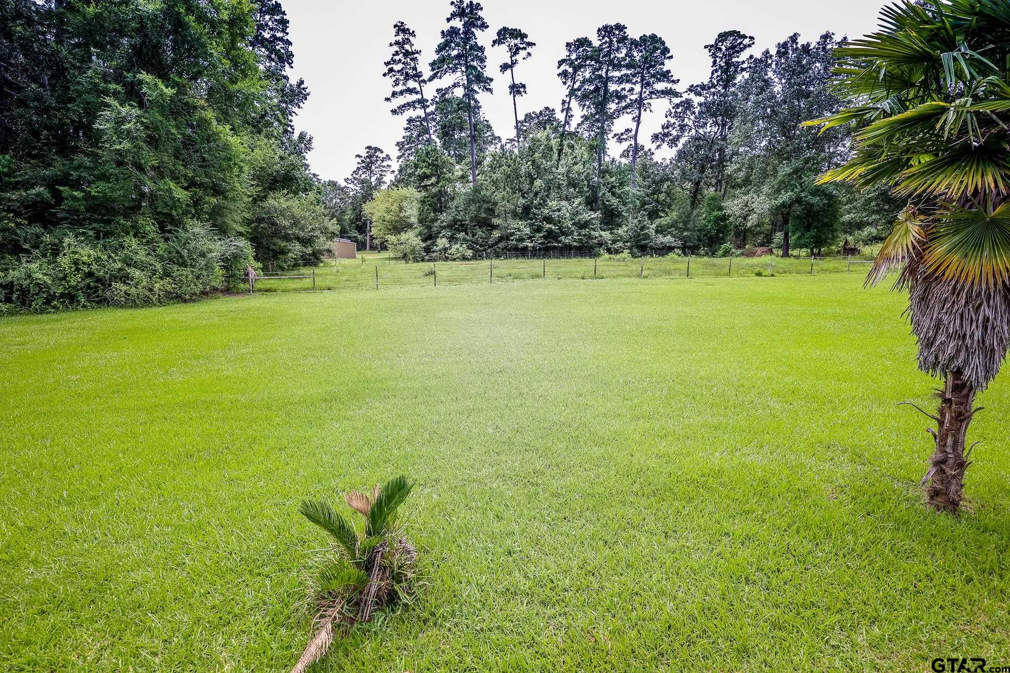 1415 West Sabine Street Carthage, TX 75633 - Photo 34 of 44 a view of a field with a trees in the background