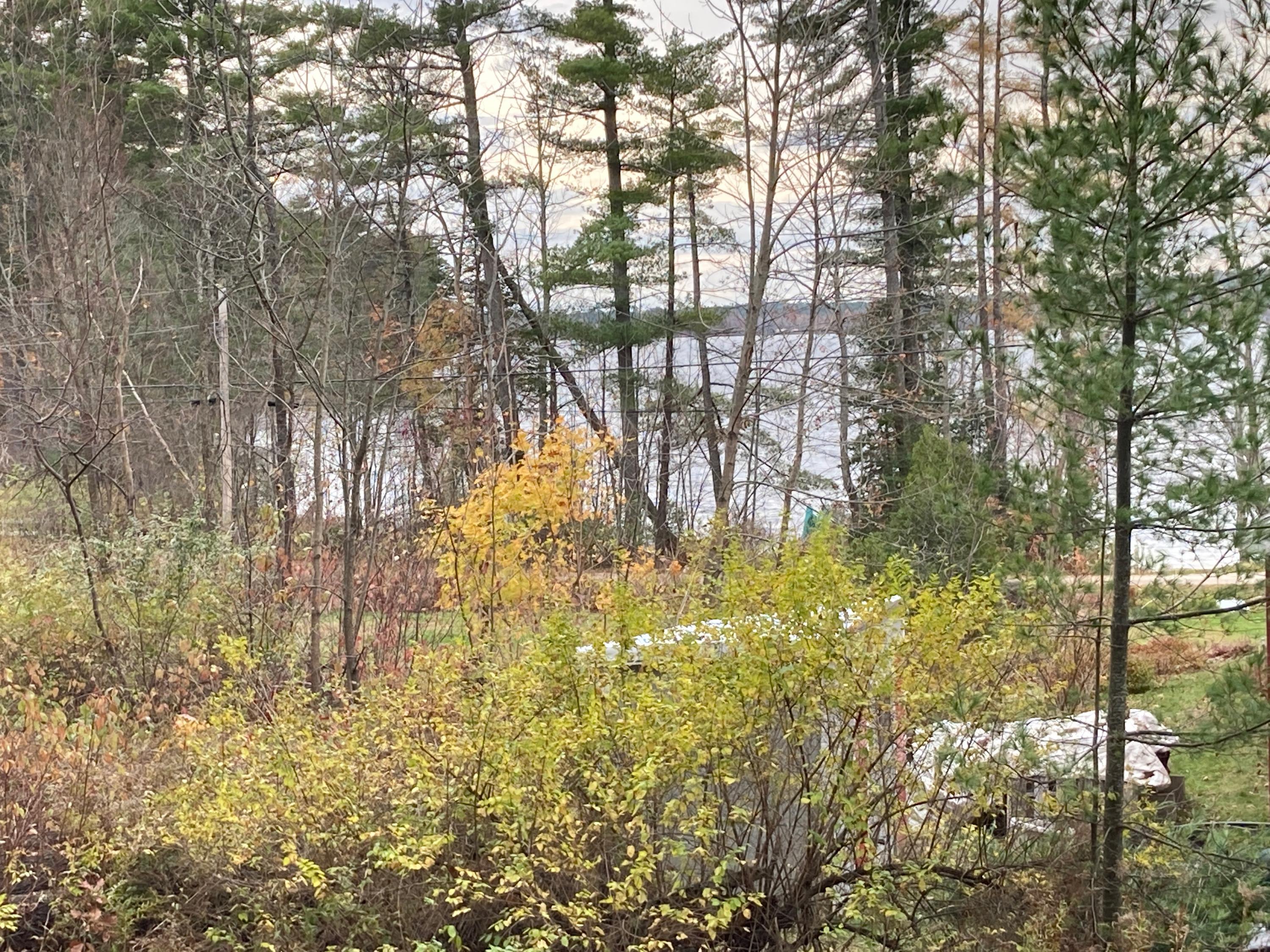 102 Willard Road Auburn, ME 04210 - Photo 3 of 3 62594295938__7084D799-F384-4092-B358-34C