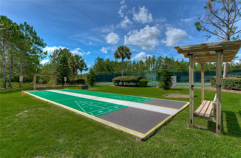 8049 Sanguinelli Road Land O Lakes, FL 34637 - Photo 31 of 33