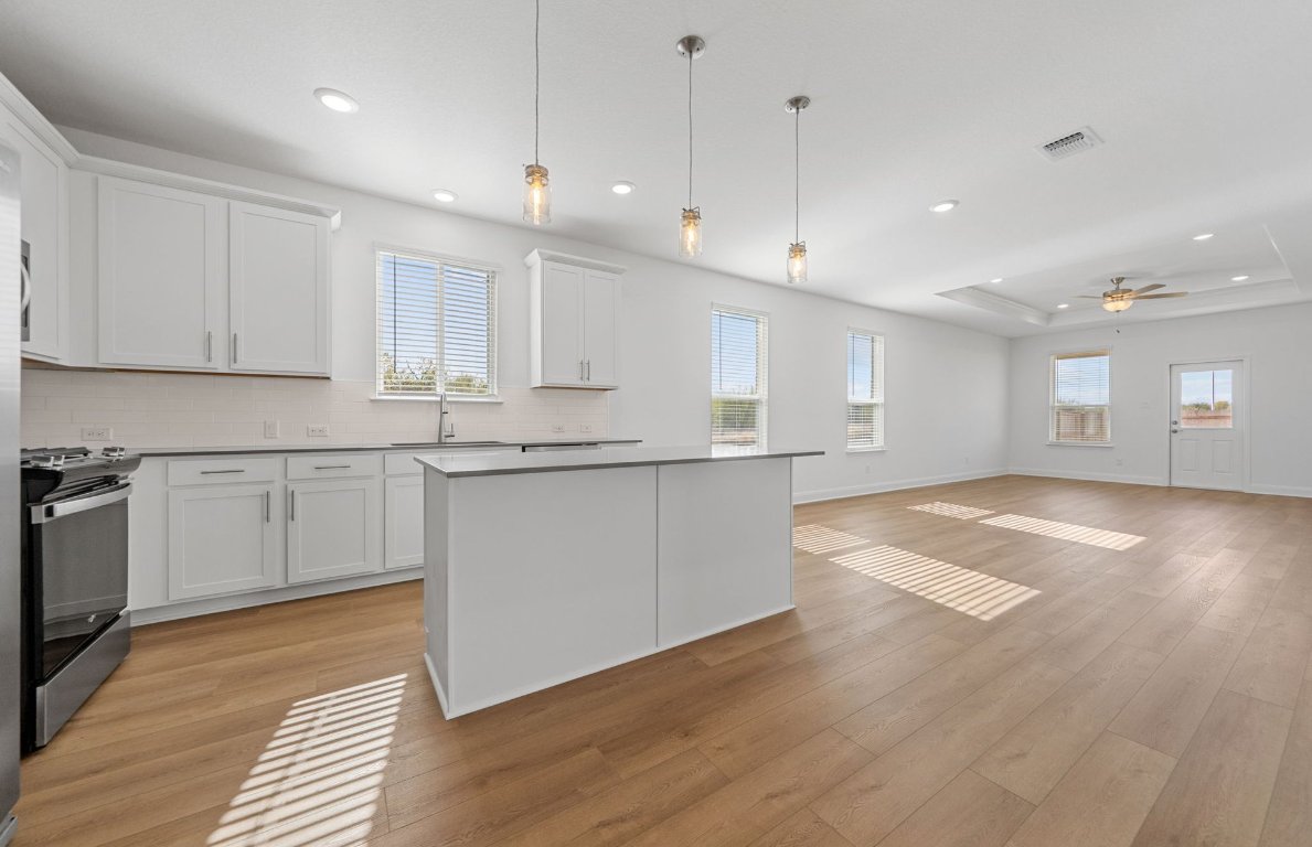 501 Maries Garden Georgetown, TX 78626 - Photo 4 of 24 a kitchen with stainless steel appliances granite countertop a sink a stove a refrigerator and white cabinets with wooden floor