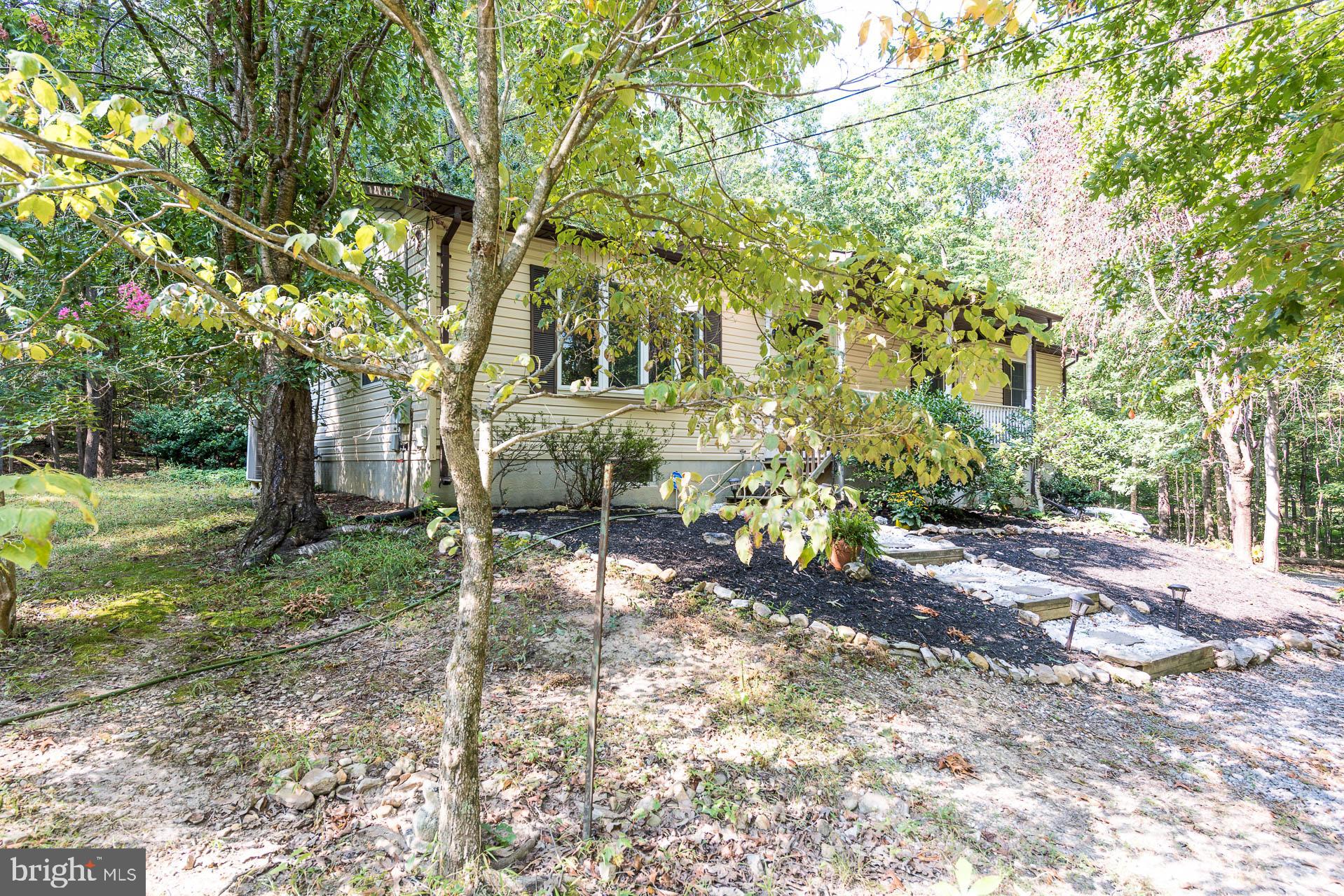 600 Manor Road Front Royal, VA 22630 - Photo 4 of 55