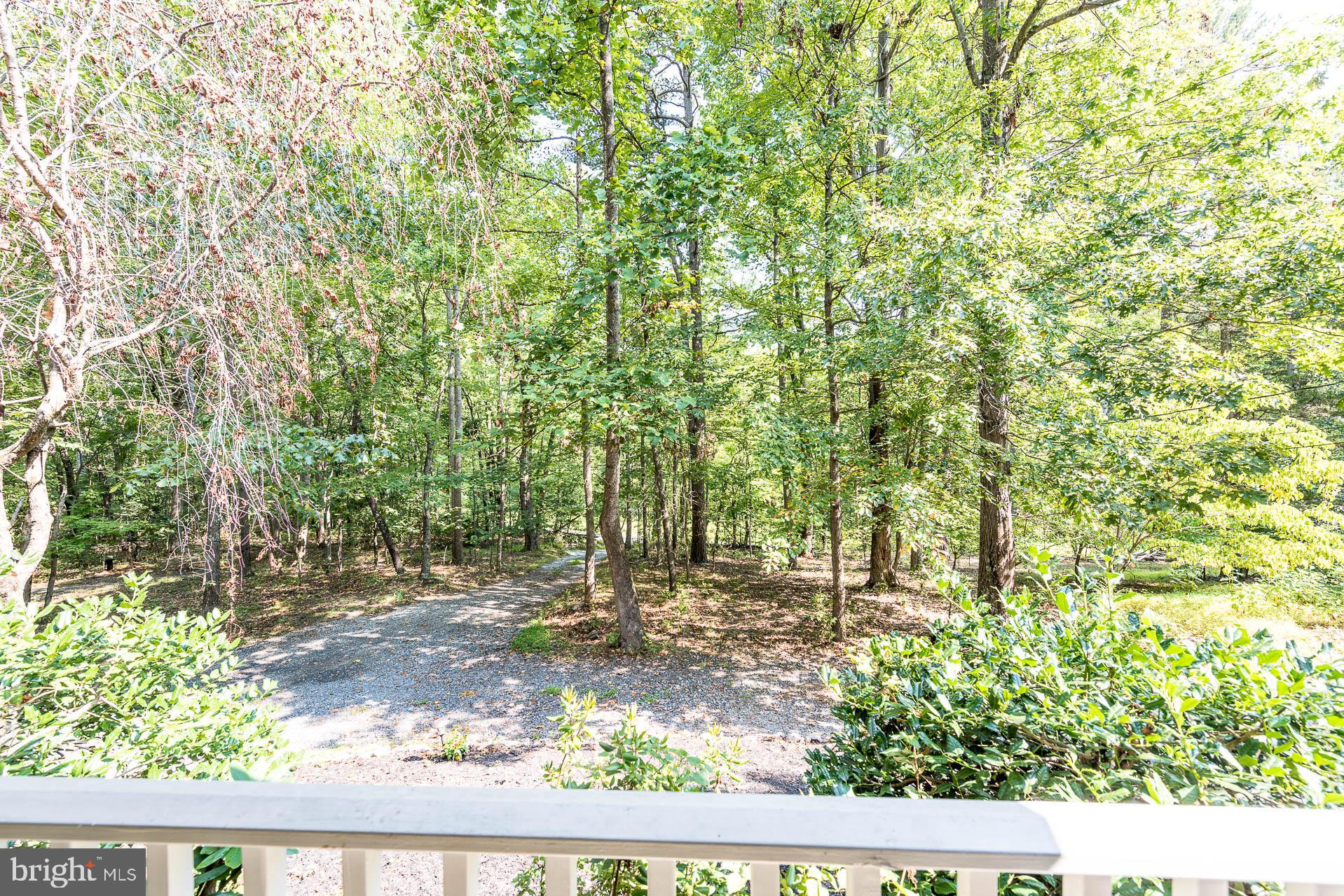 600 Manor Road Front Royal, VA 22630 - Photo 8 of 55