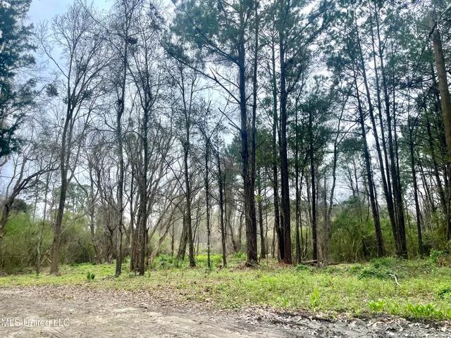 $139,900 | 0 Pabst Road, Ocean Springs, MS 39564