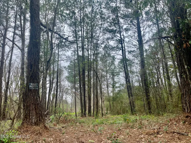 $139,900 | 0 Pabst Road, Ocean Springs, MS 39564