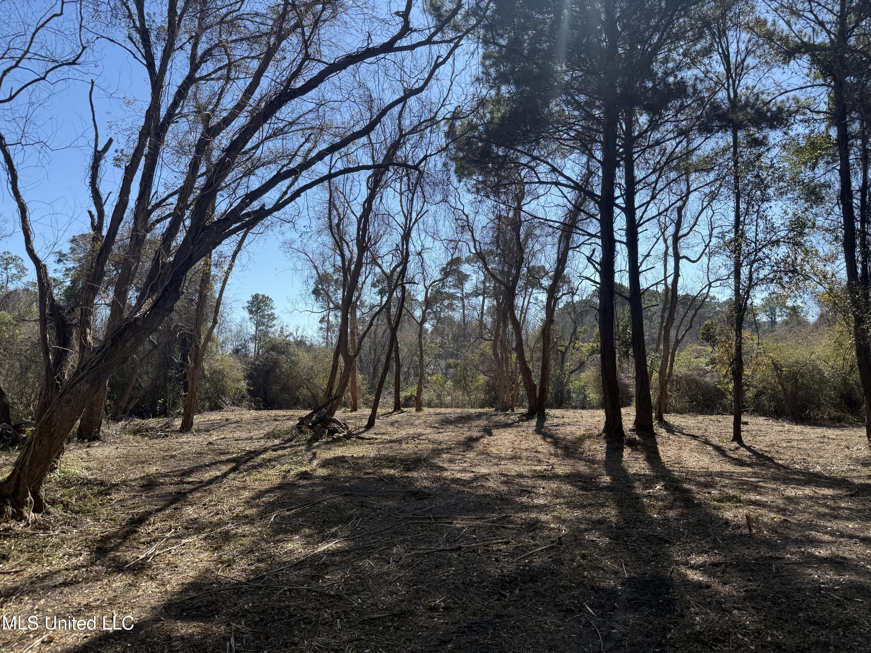 0 Pabst Road Ocean Springs, MS 39564 - Photo 16 of 24 Property