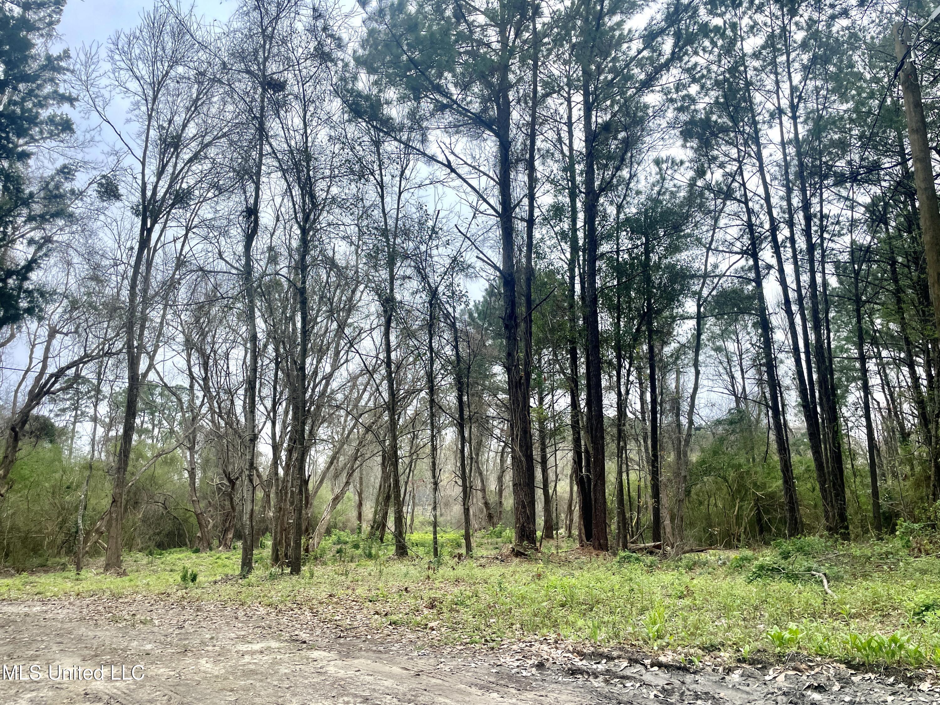 0 Pabst Road Ocean Springs, MS 39564 - Photo 17 of 24 Building Site