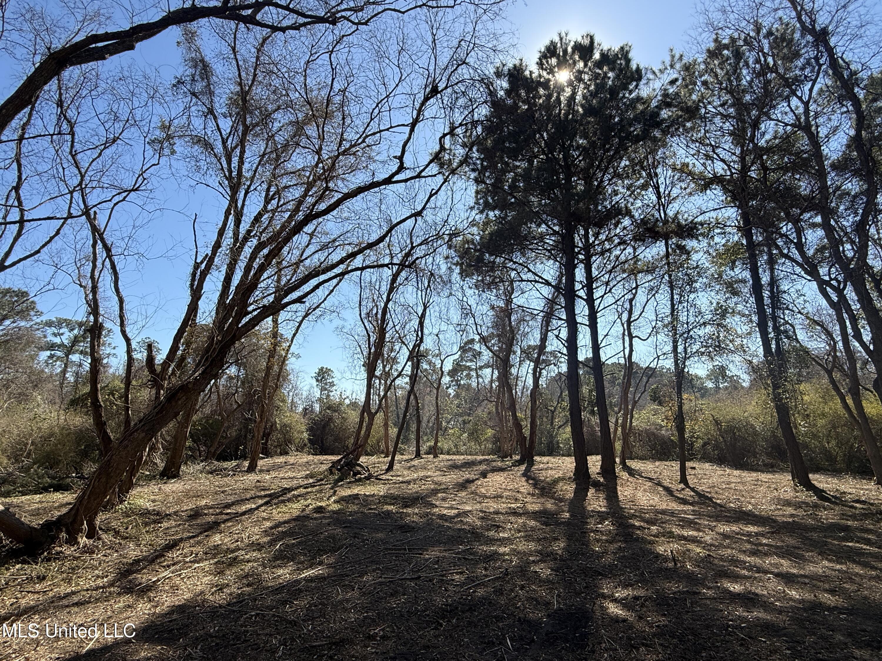 0 Pabst Road Ocean Springs, MS 39564 - Photo 18 of 24 Property