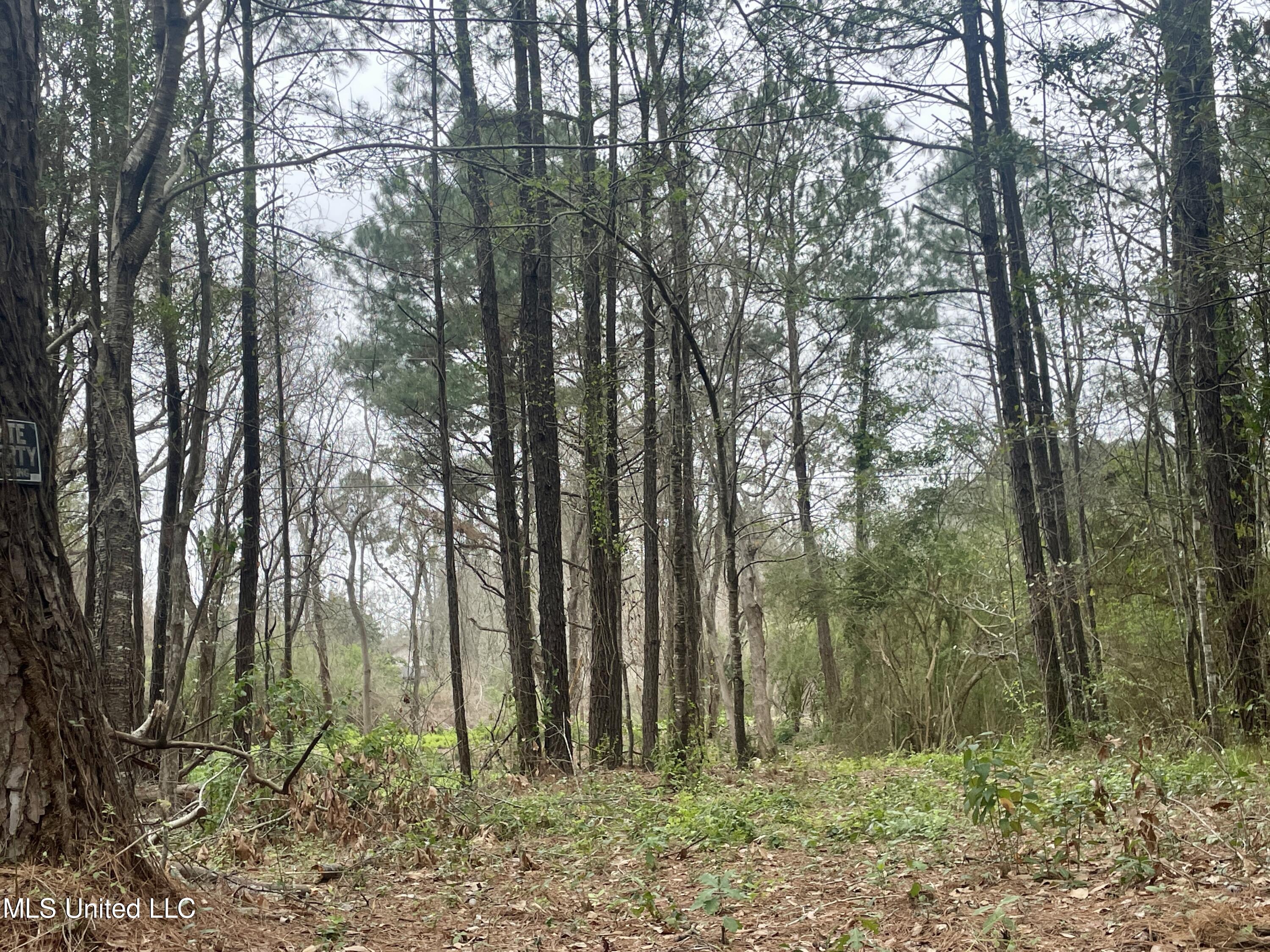 0 Pabst Road Ocean Springs, MS 39564 - Photo 20 of 24 Non Flood Zone