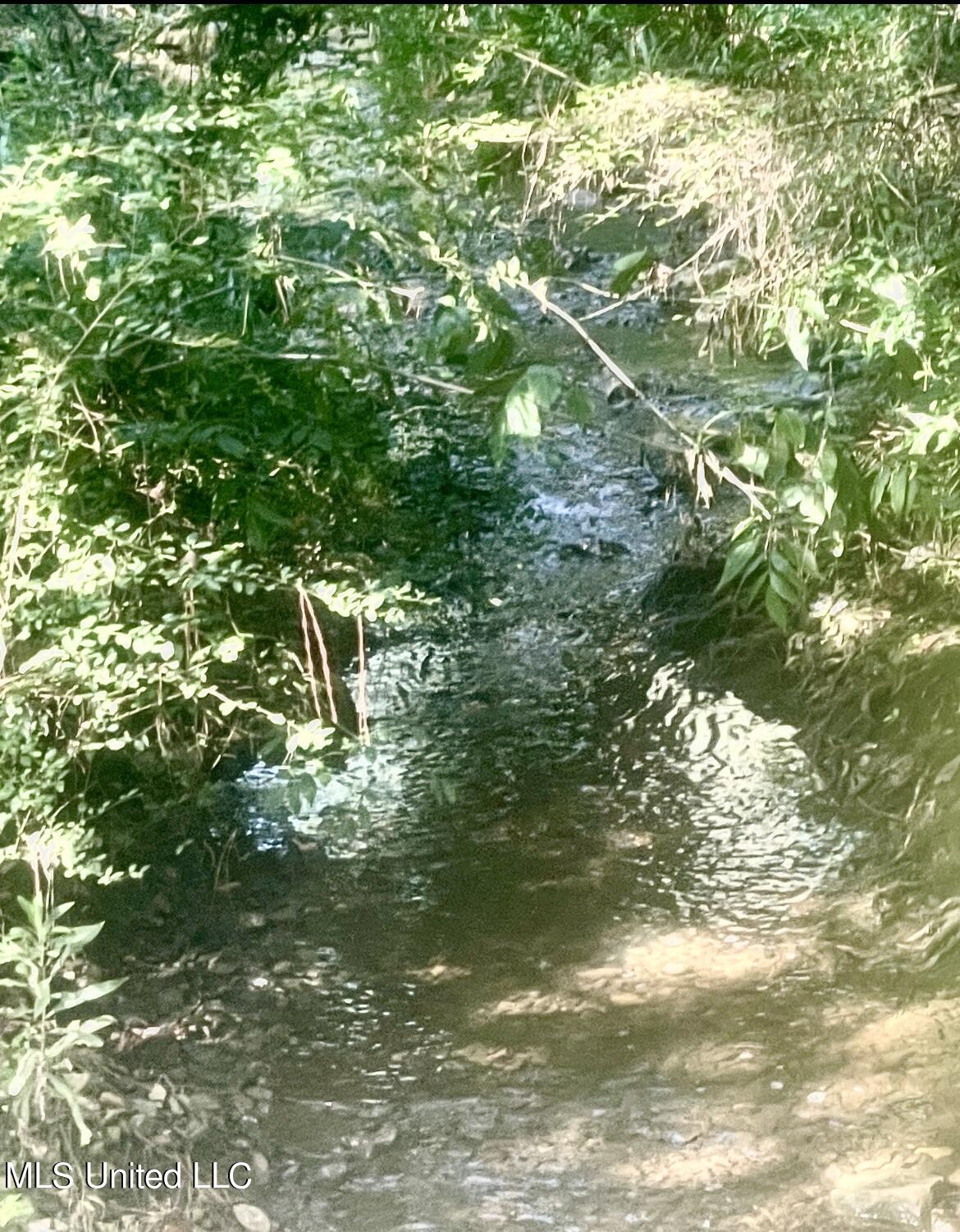 0 Pabst Road Ocean Springs, MS 39564 - Photo 2 of 24 Flows to Bayou