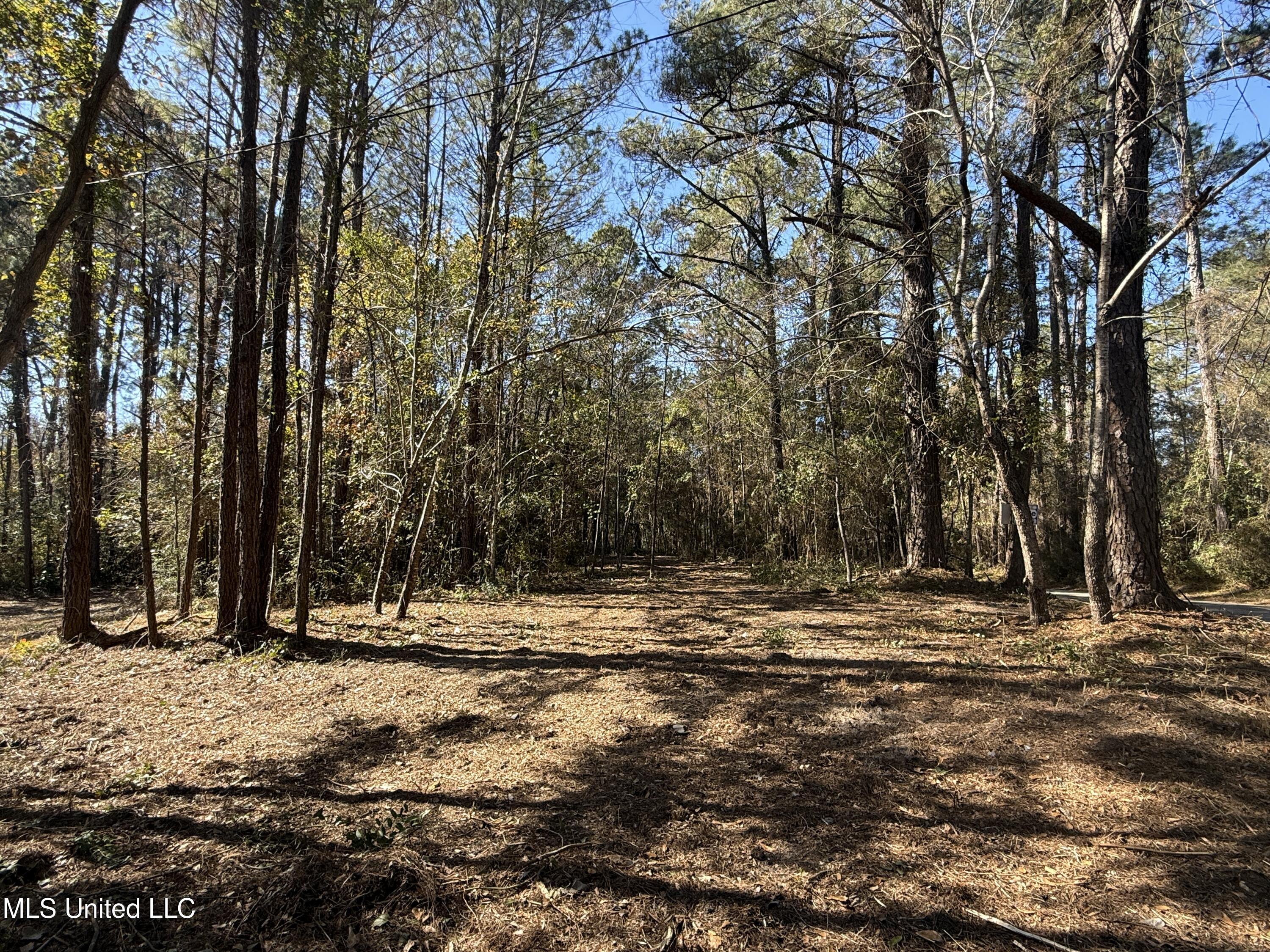 0 Pabst Road Ocean Springs, MS 39564 - Photo 3 of 24 Pabst Rd