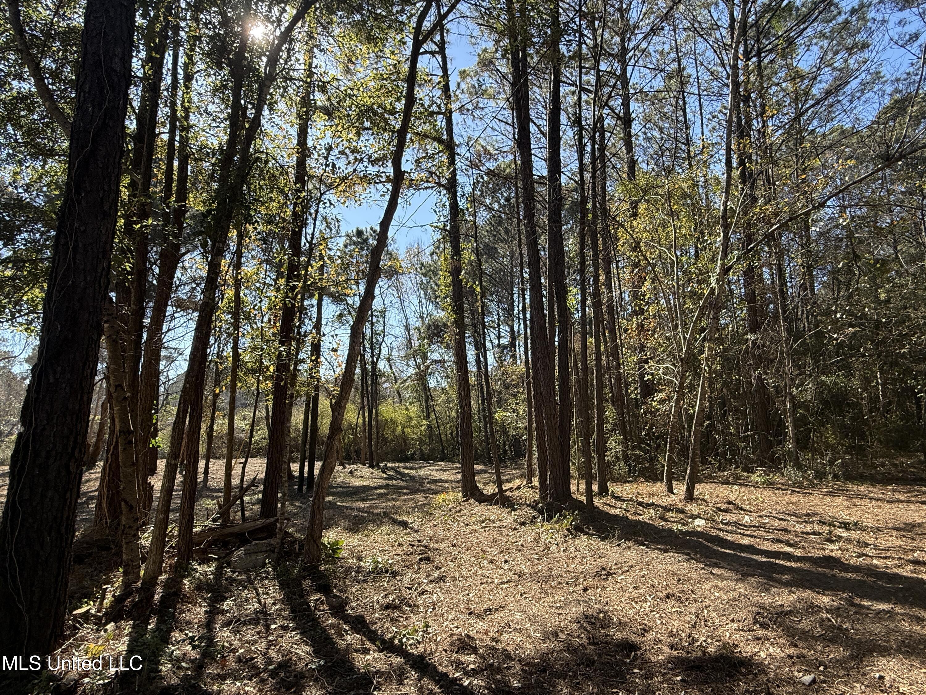 0 Pabst Road Ocean Springs, MS 39564 - Photo 8 of 24 Property