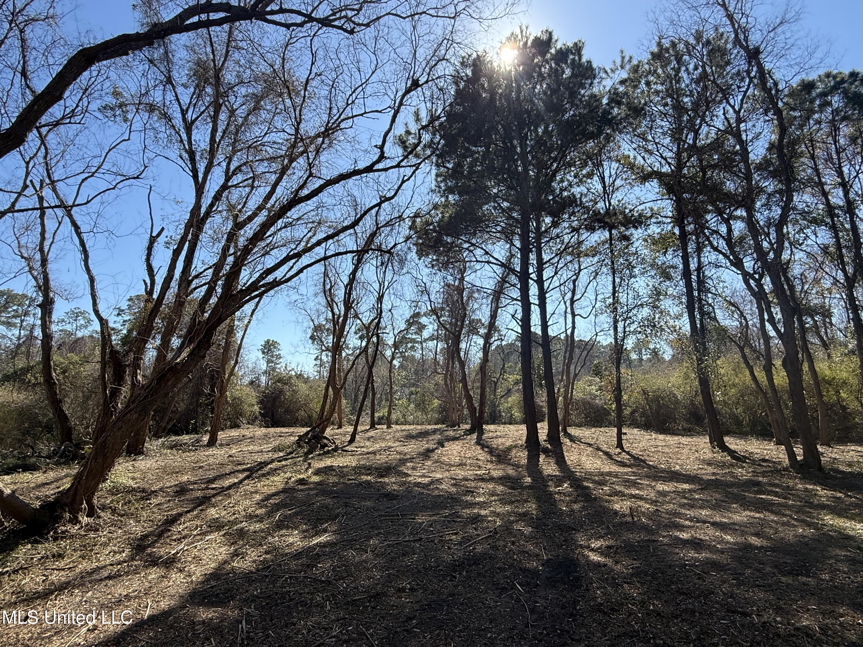 0 Pabst Road Ocean Springs, MS 39564 - Photo 9 of 24 Property