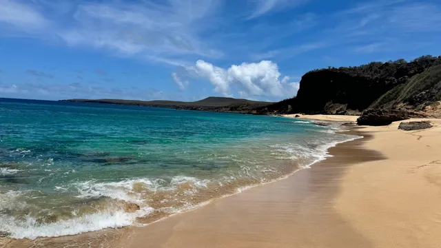 $239,000 | 50 Kepuhi Place, Unit 202, Maunaloa, HI 96770